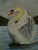 Cygne